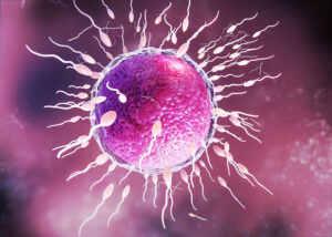 Nuclei course- k2h