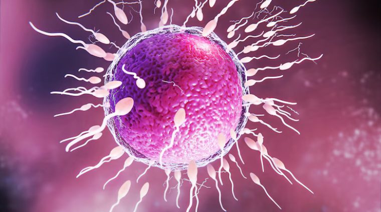 Nuclei course- k2h