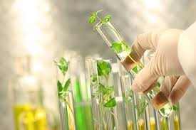 Environmental Chemistry by k2h
